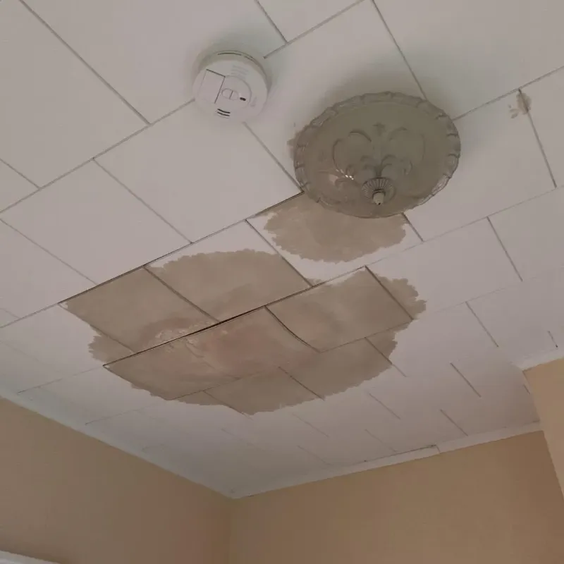 Ceiling Water Damage Repair in McDowell County, NC