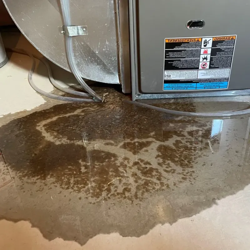 Pipe Burst and Leak Restoration in McDowell County, NC